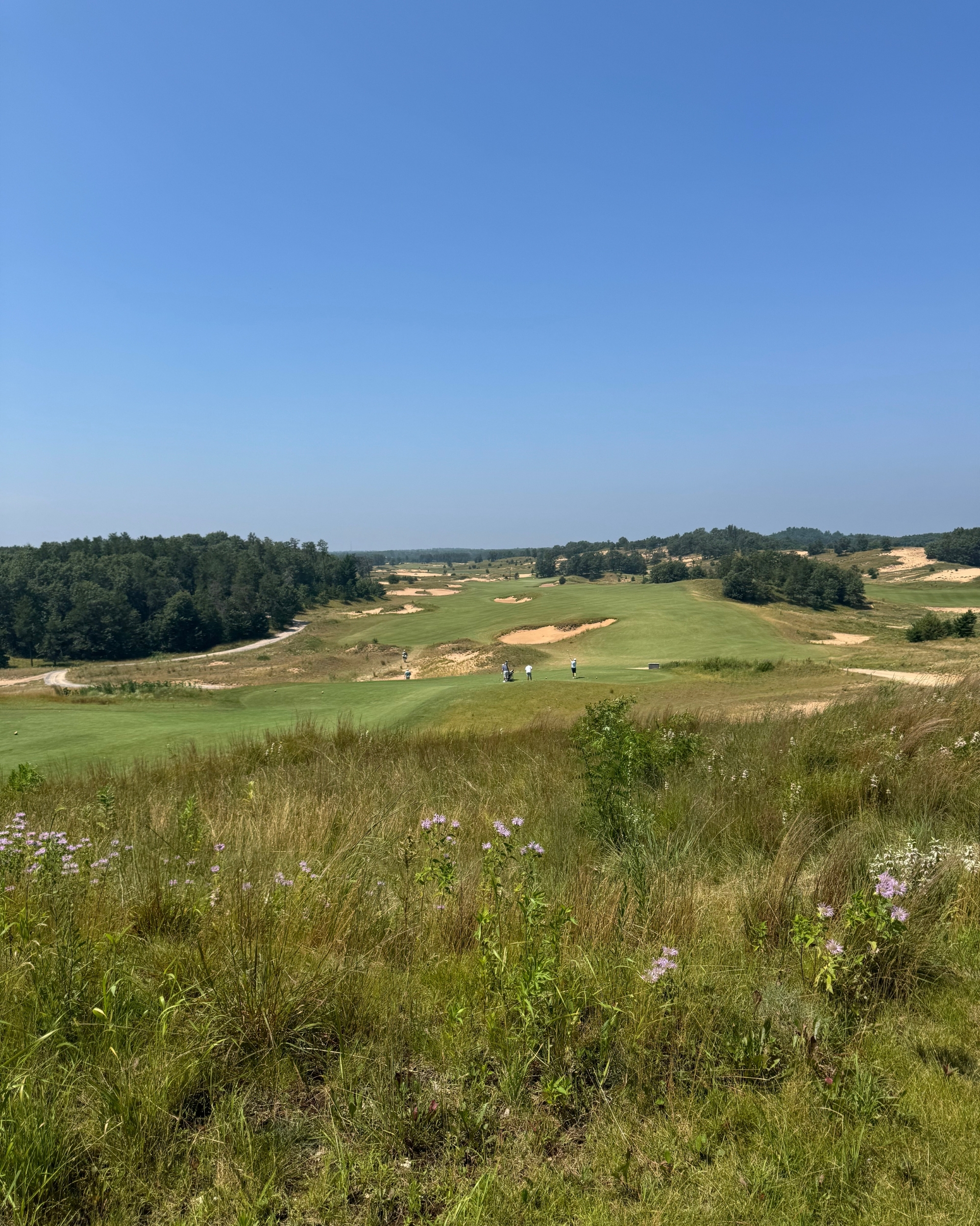 The Harrish Report – August 2026 Monthly Market Newsletter